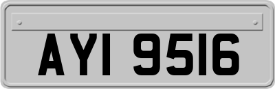 AYI9516