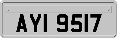 AYI9517