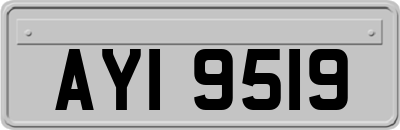 AYI9519