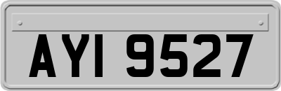 AYI9527
