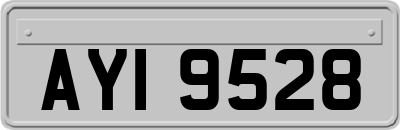 AYI9528