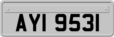 AYI9531