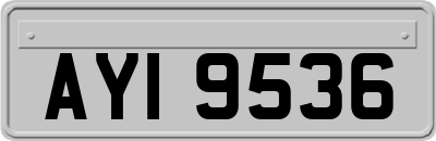 AYI9536