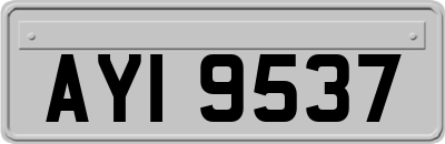 AYI9537