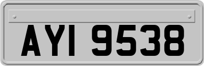AYI9538