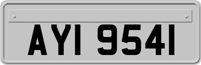 AYI9541