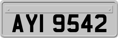 AYI9542