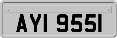AYI9551