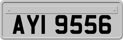 AYI9556