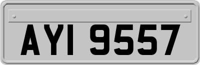 AYI9557
