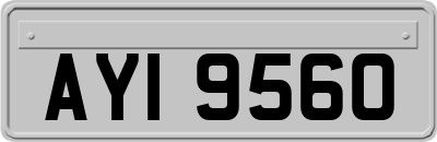 AYI9560