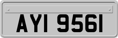 AYI9561