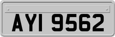 AYI9562
