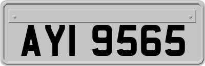 AYI9565