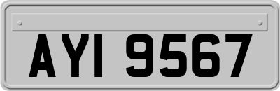 AYI9567