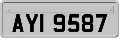AYI9587