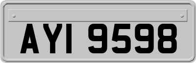 AYI9598