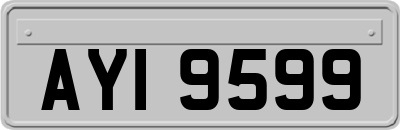 AYI9599