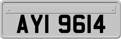 AYI9614