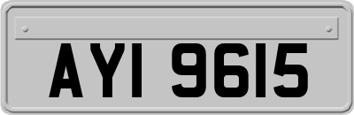 AYI9615