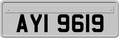 AYI9619