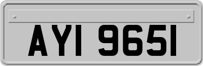 AYI9651