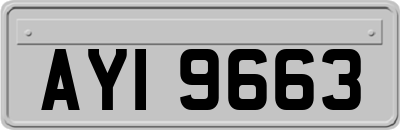 AYI9663