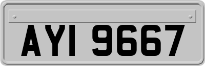 AYI9667