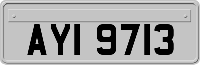 AYI9713