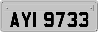 AYI9733