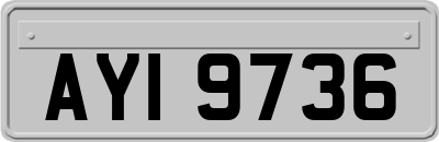 AYI9736