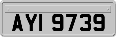 AYI9739