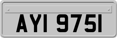 AYI9751
