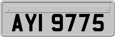 AYI9775