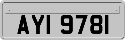 AYI9781