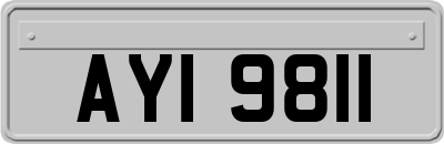 AYI9811