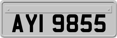AYI9855