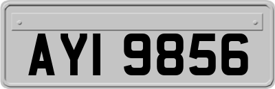 AYI9856