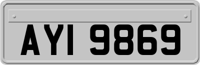 AYI9869