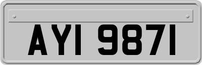 AYI9871