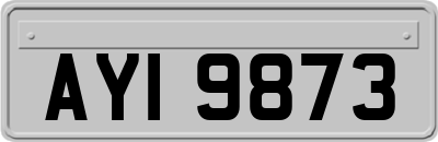 AYI9873