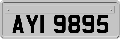 AYI9895