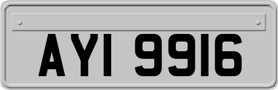 AYI9916
