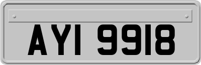 AYI9918