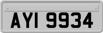 AYI9934