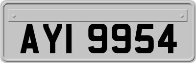 AYI9954