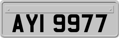 AYI9977