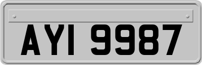 AYI9987