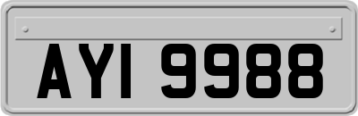 AYI9988