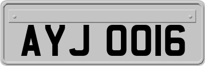 AYJ0016